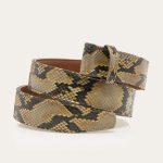 claris virot ceinture